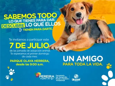 El domingo, jornada de bienestar animal