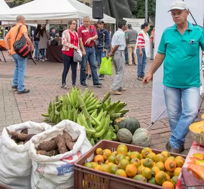 Asistencia masiva al tercer mercado campesino Plaza de Bolívar