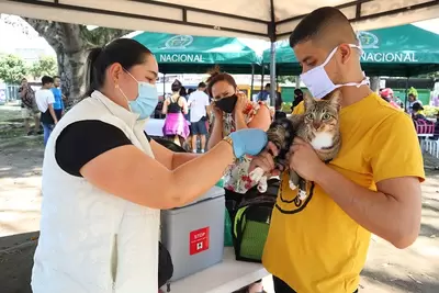 Vacunación antirrábica para perros y gatos, este domingo 6 de febrero en el Parque Olaya